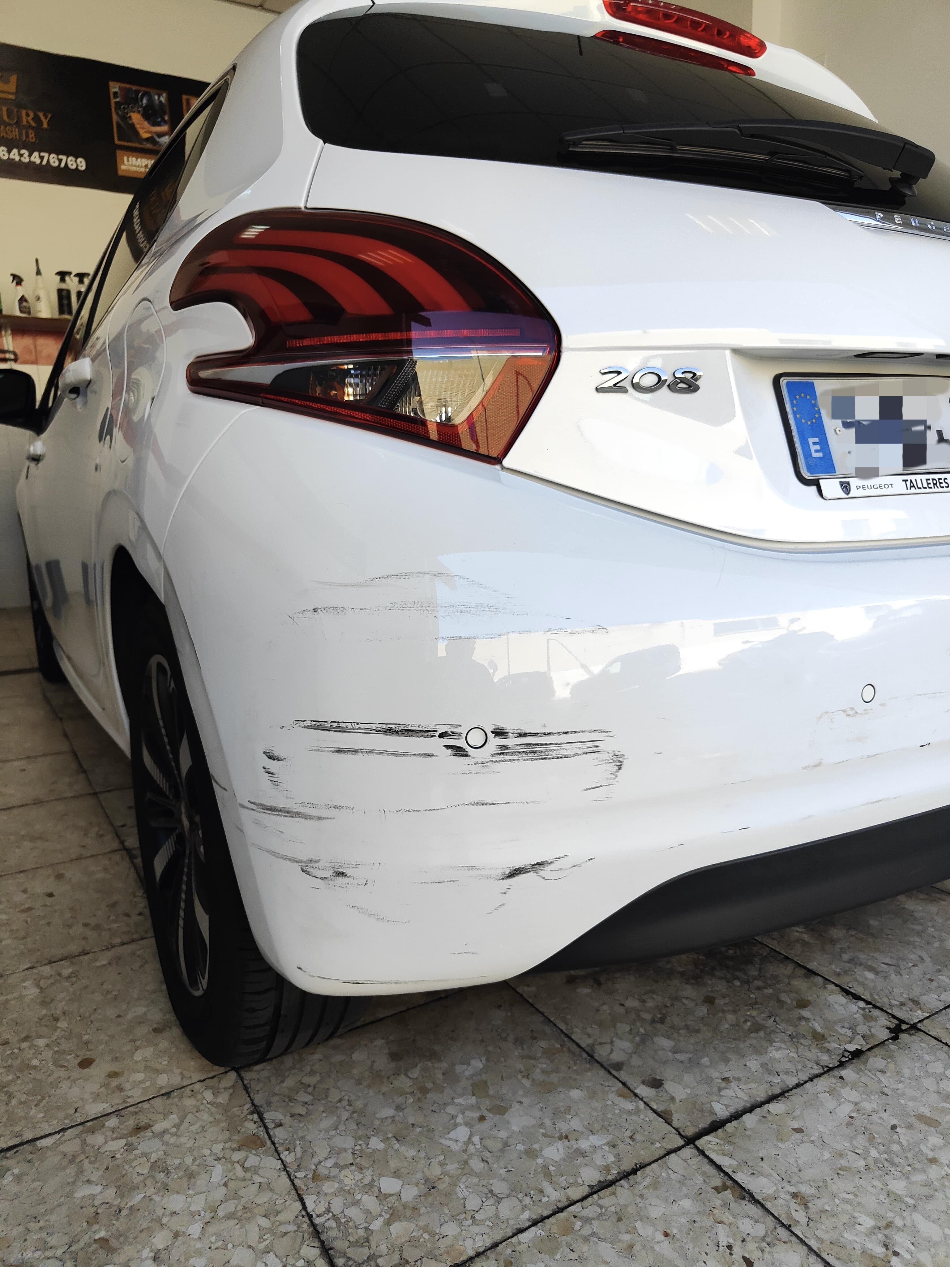 Coche con pelos de mascota