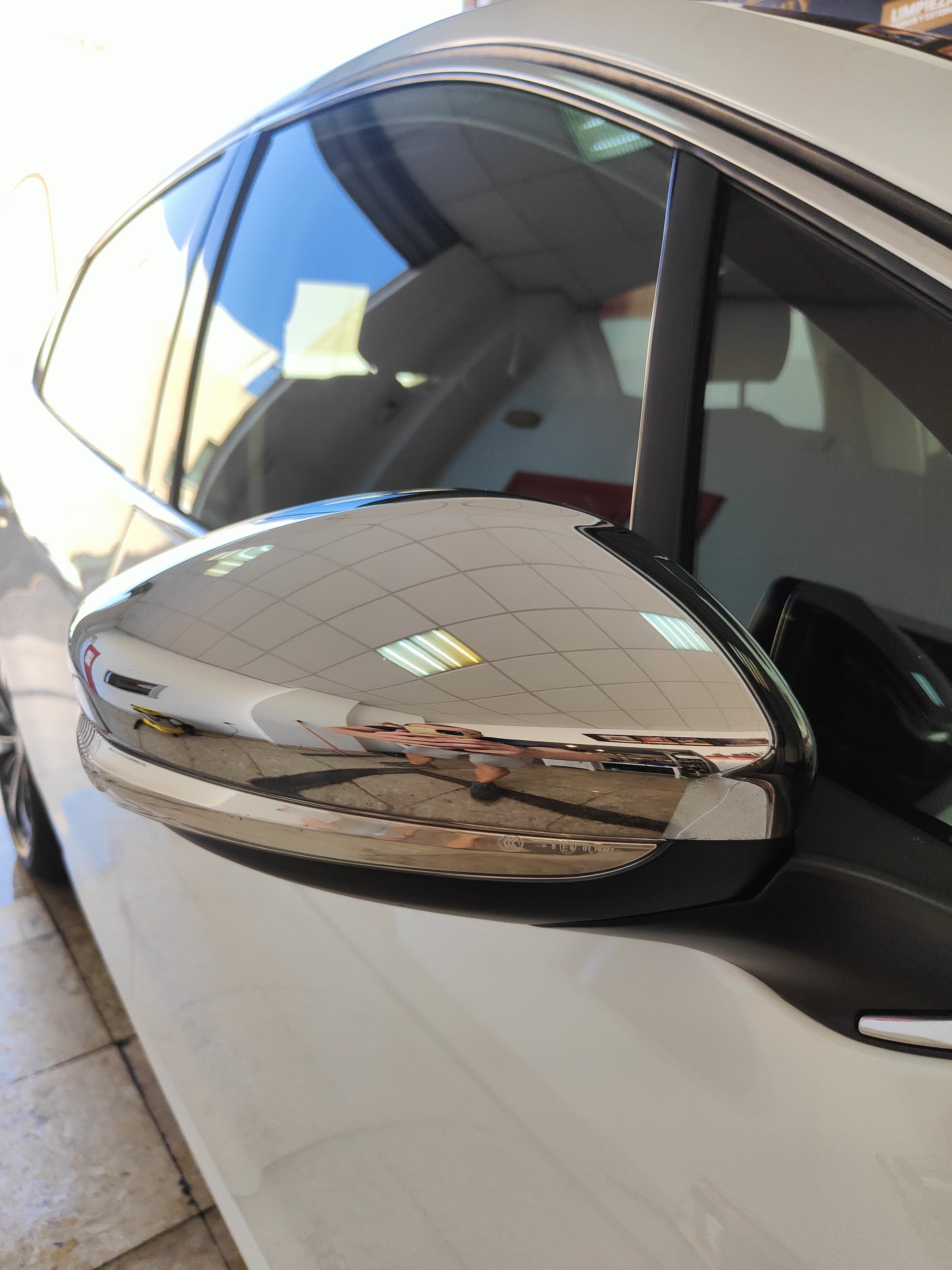 Coche con pelos de mascota