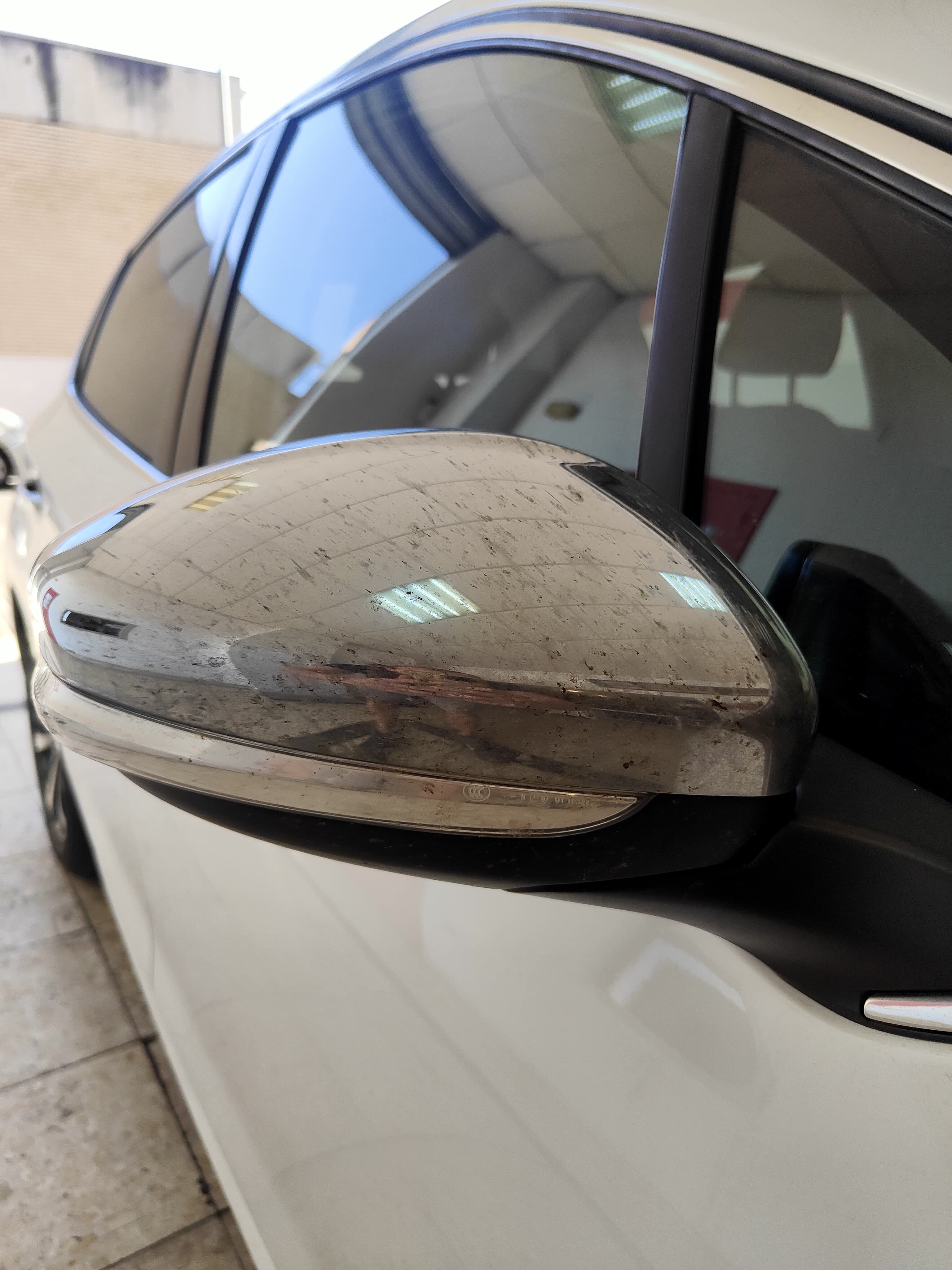 Coche sin pelos de mascota