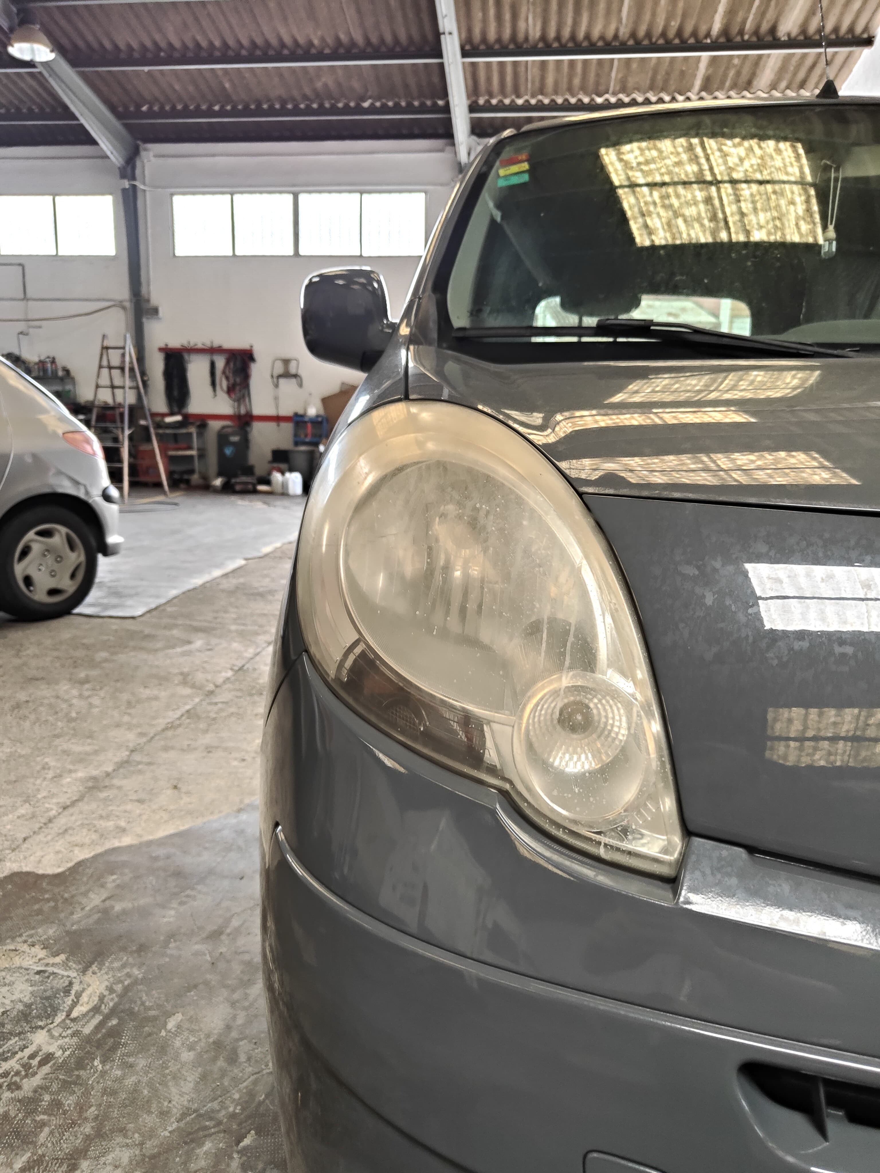 Coche con pelos de mascota