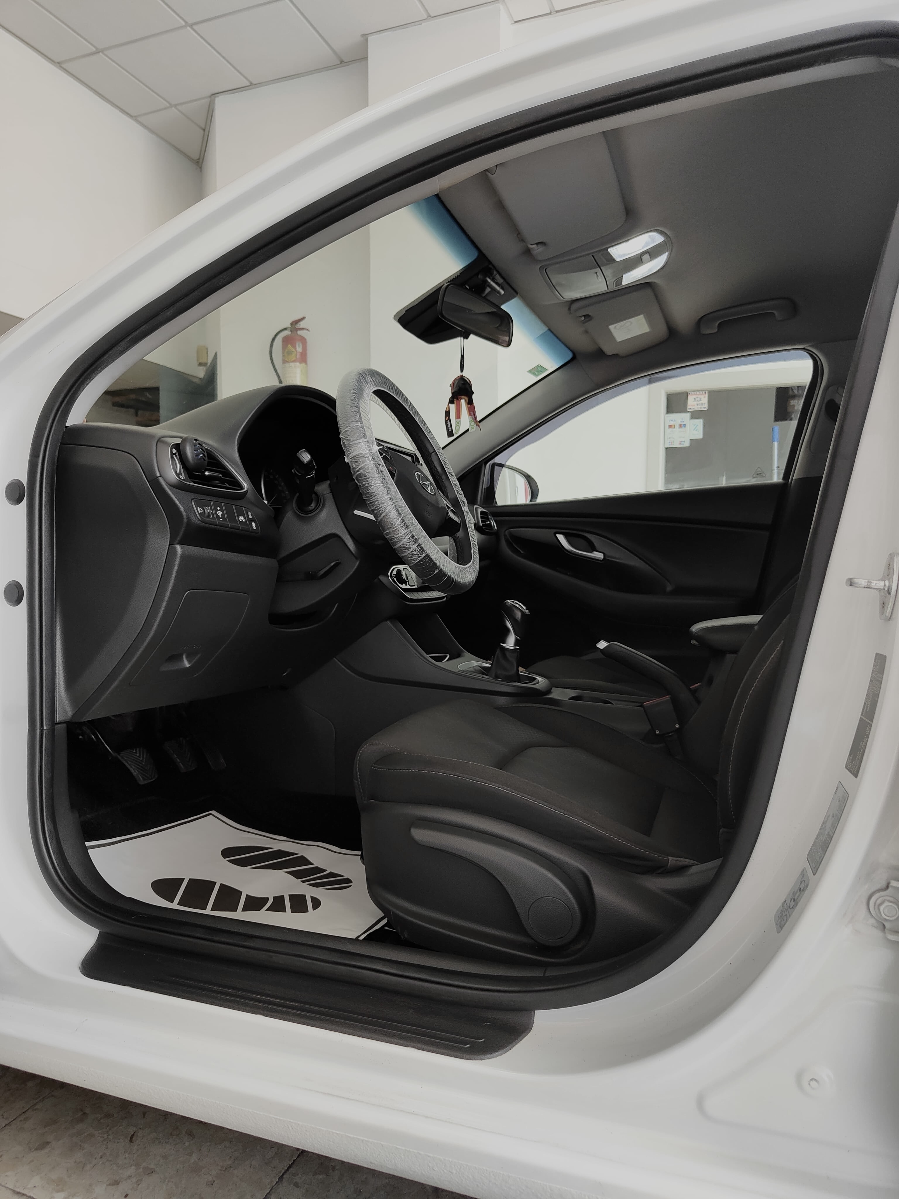 Coche sin pelos de mascota