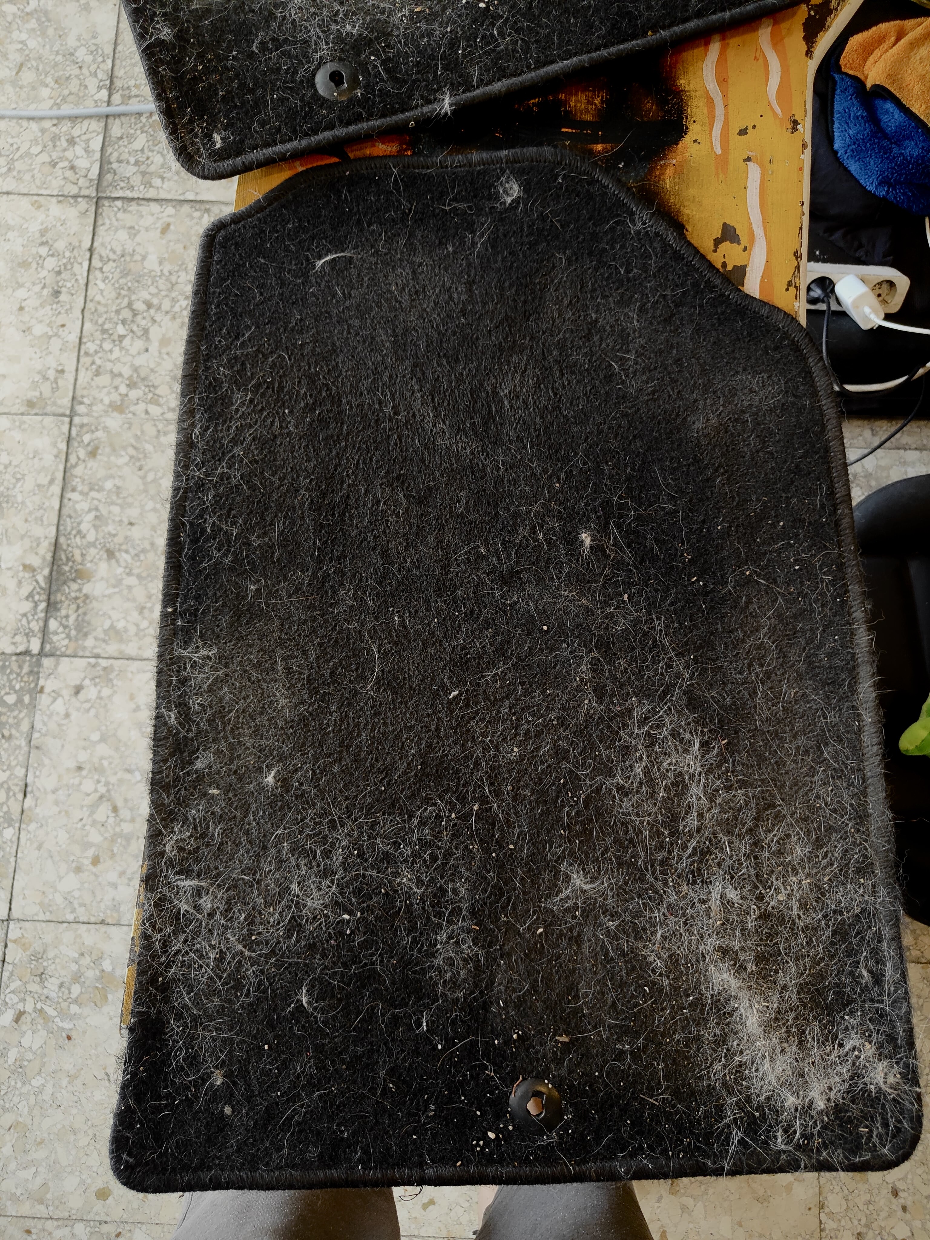 Coche con pelos de mascota