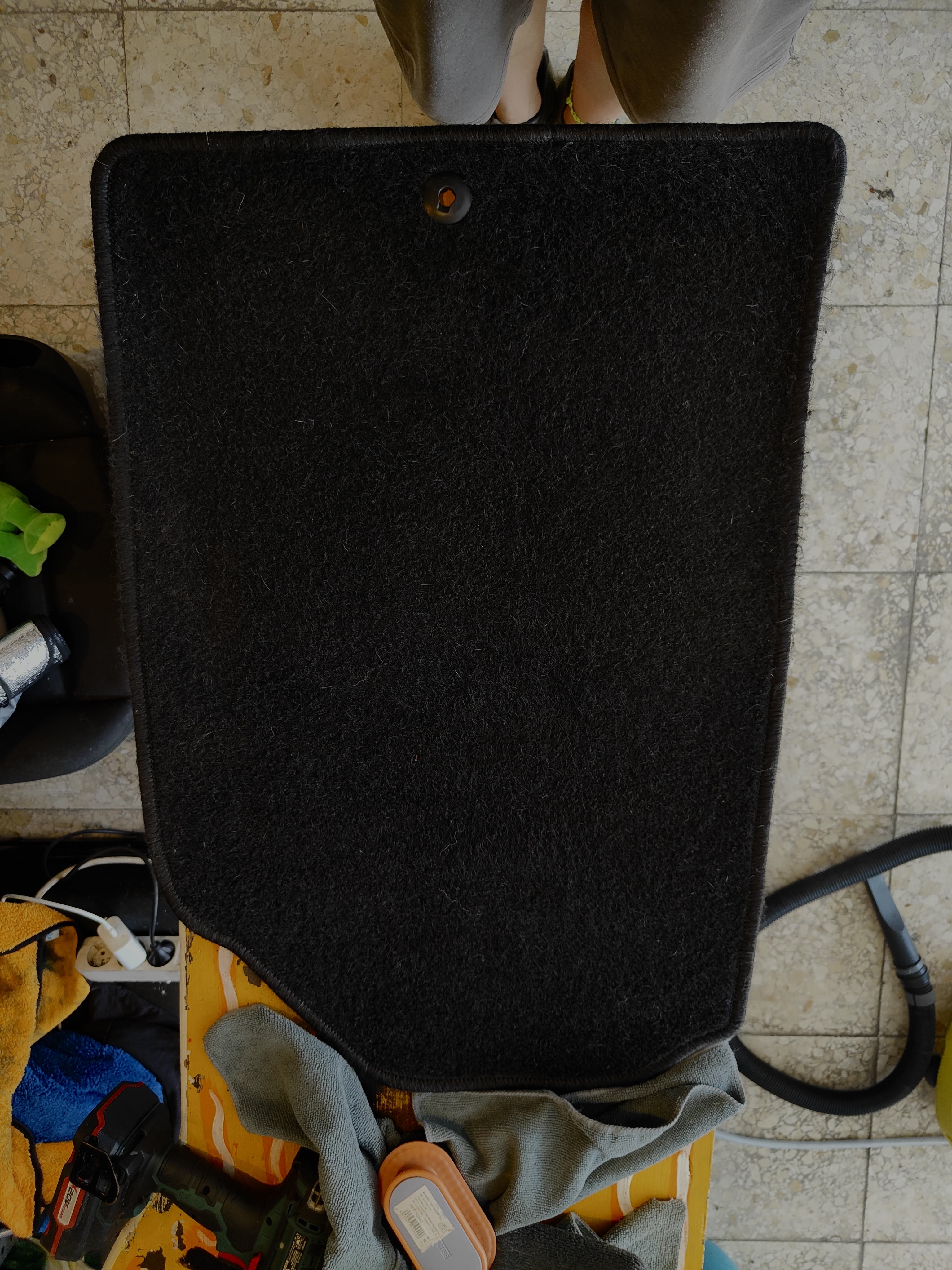 Coche sin pelos de mascota